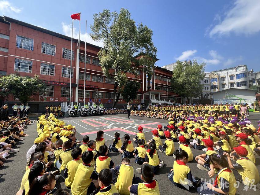 网上飞禽走兽数学打法